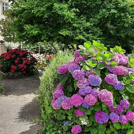 De La Barbacane Tiffauges