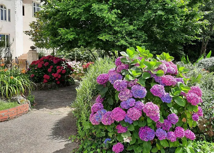 De La Barbacane Tiffauges